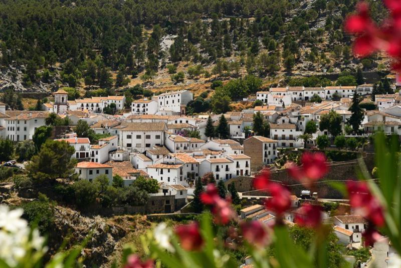 La Casa De La Abuela Regina Apartment Grazalema Luaran gambar